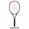 Dunlop SX 300