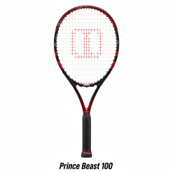 Dunlop SX 300