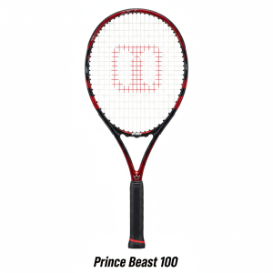 Dunlop SX 300