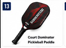 Court Dominator Pickleball Paddle